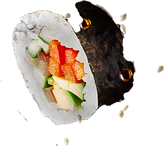 SUSHI VOLADOR 1-1